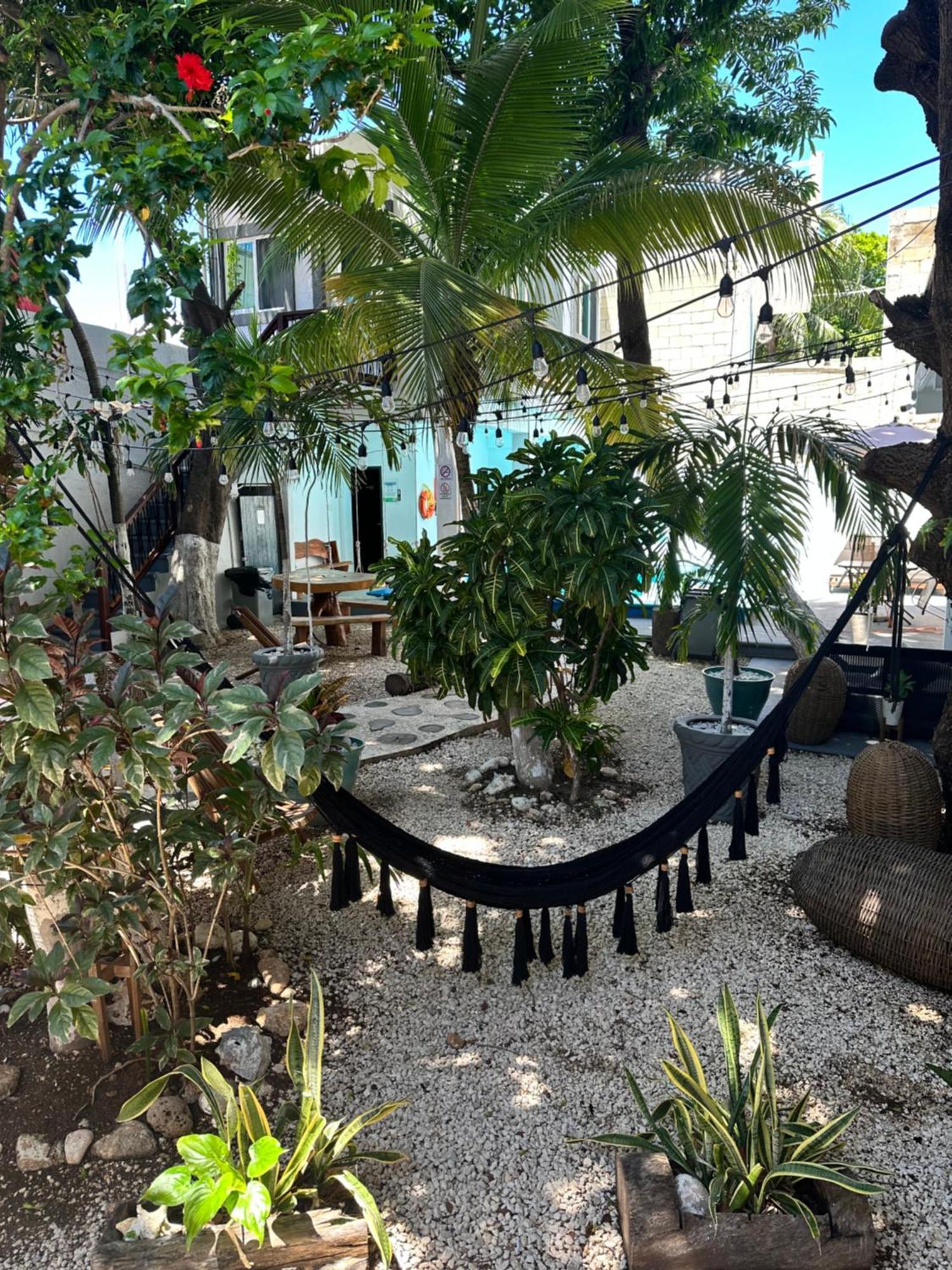 Hotel Caracol Isla Mujeres Exterior photo