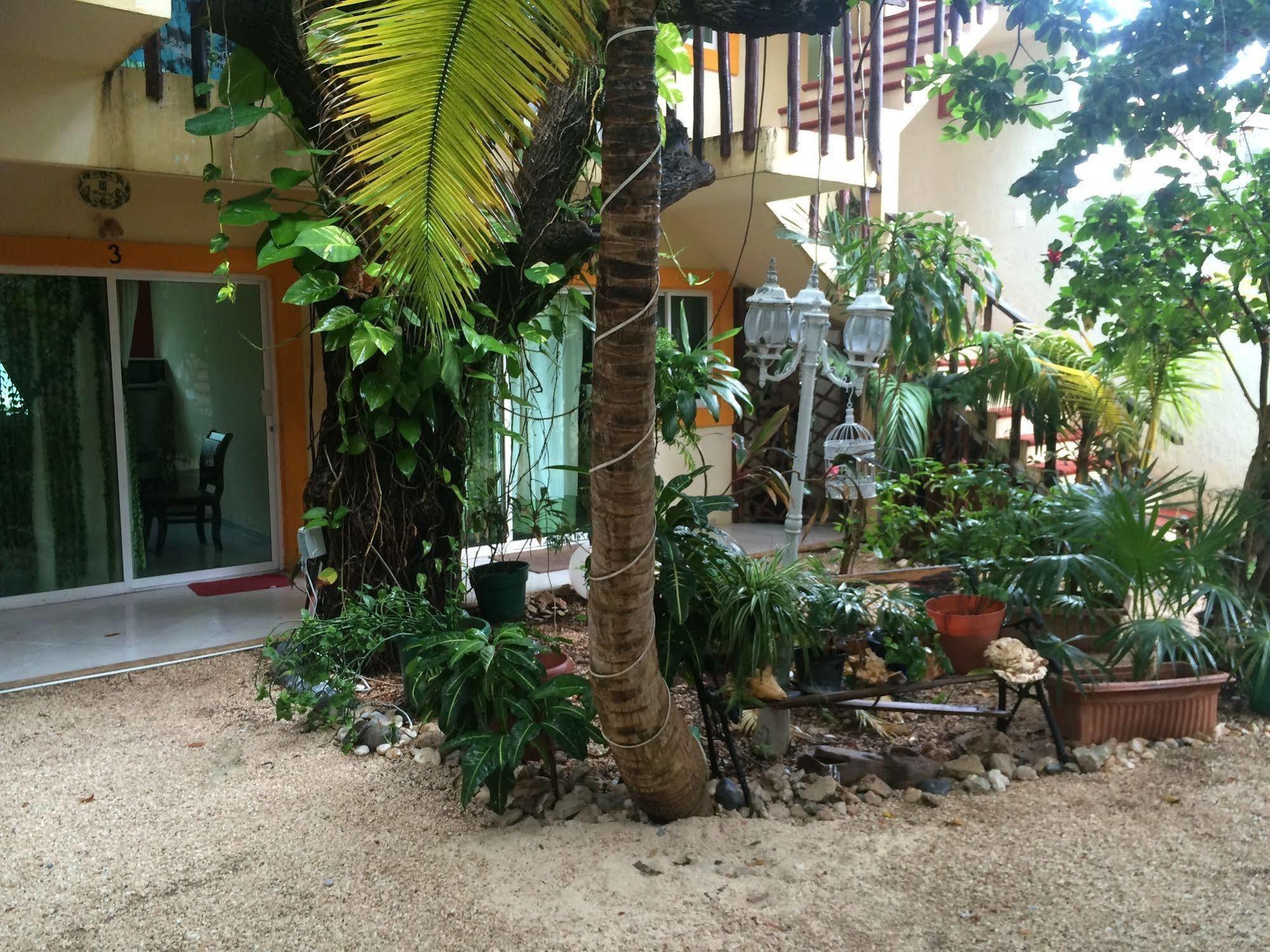 Hotel Caracol Isla Mujeres Exterior photo